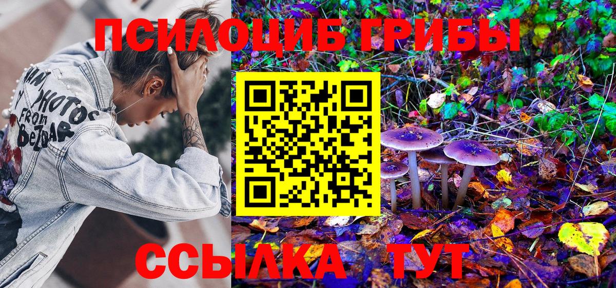 Галлюциногенные грибы мицелий Когалым